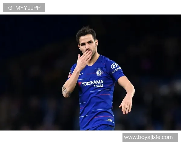 足球明星法布雷加斯的辉煌职业生涯与对足球的热爱故事