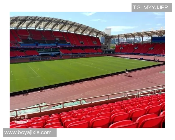 足球明星齐聚沈阳激情踢球引发球迷热潮盛况空前